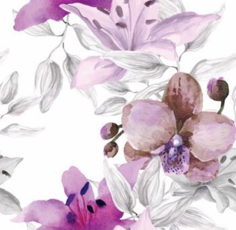 Alys strap protectors