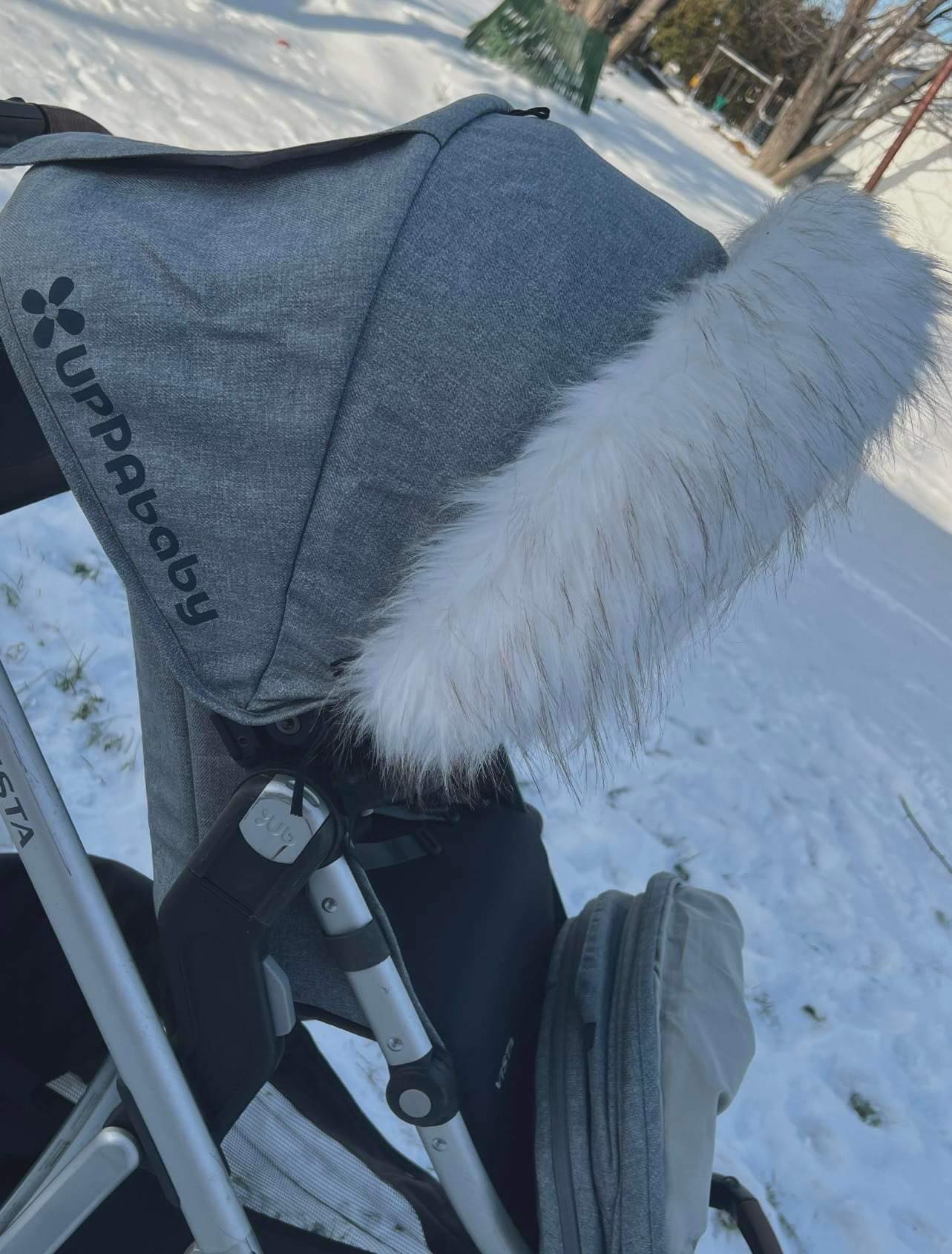 Universal Collar - Harfang