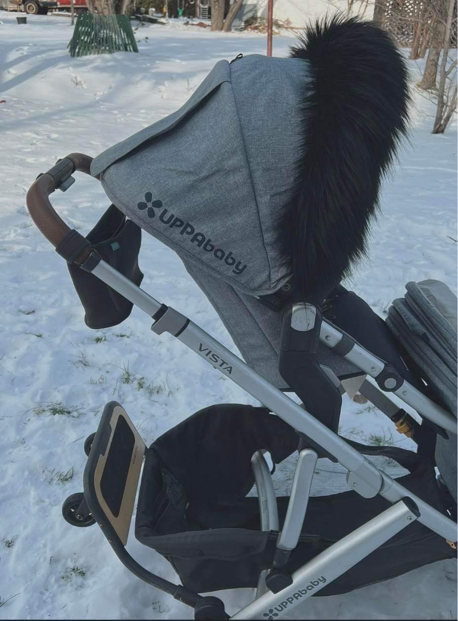 Universal Collar - Bear