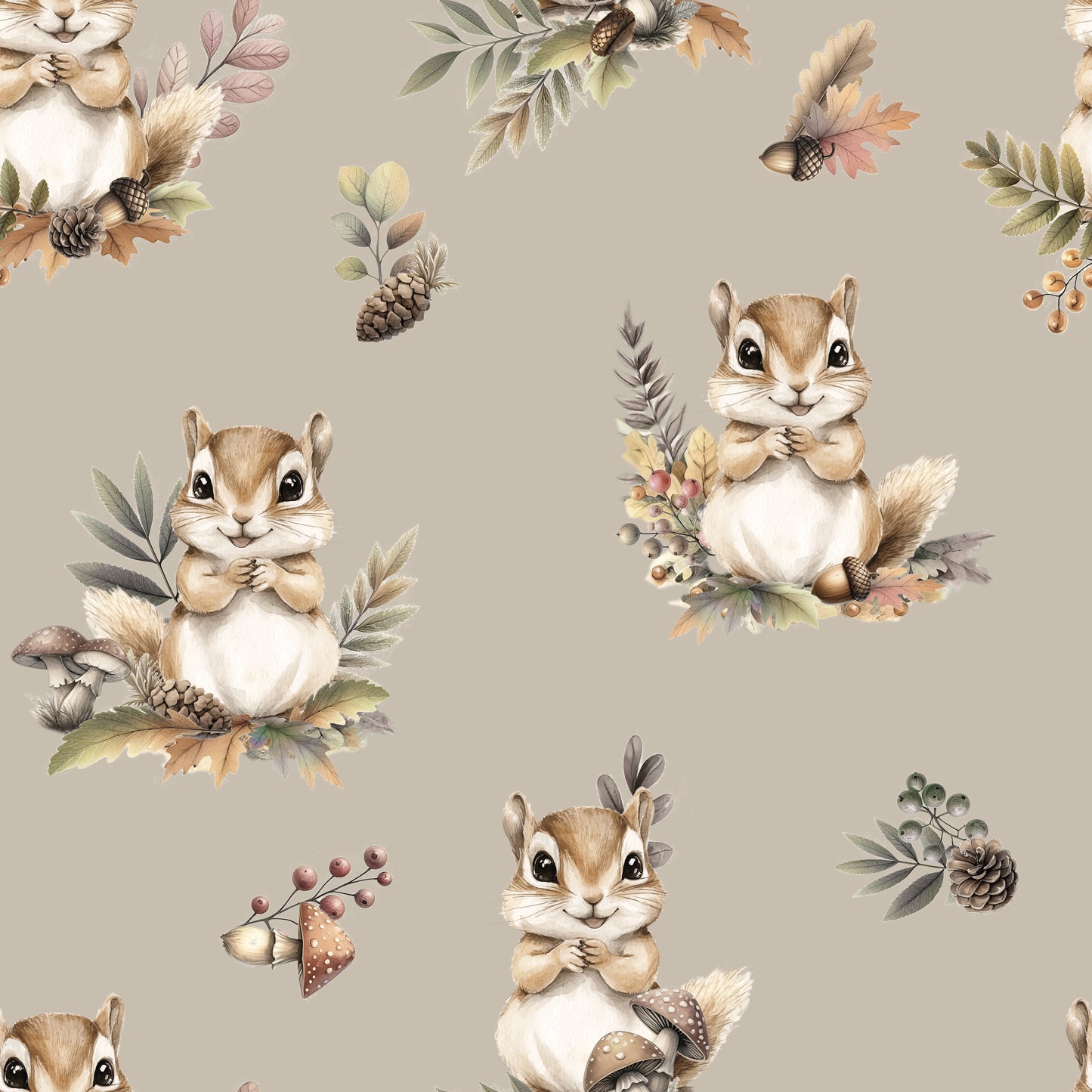 Couverture  - Écureuils